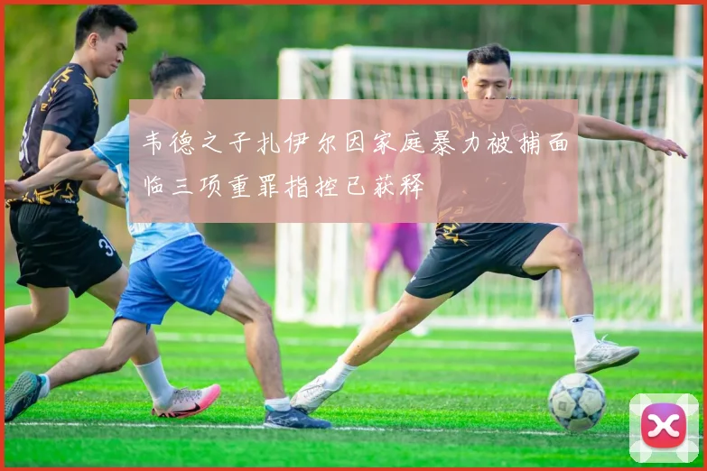 韦德之子扎伊尔因家庭暴力被捕面临三项重罪指控已获释